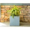 KANTE 10 in. W Square Slate Gray Lightweight Concrete/Fiberglass Indoor Outdoor Modern Elegant Planter -VIGOR Plants Shop slate gray kante plant pots osf0001a c60611 64 1000