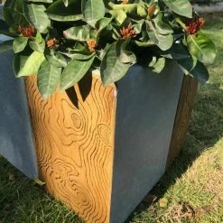 KANTE 31 in. L Rectangular Timber Ridge Concrete/Fiberglass Indoor Outdoor Elegant Long Planter 16 KANTE 31 in. L Rectangular Timber Ridge Concrete/Fiberglass Indoor Outdoor Elegant Long Planter -VIGOR Plants Shop timber ridge kante plant pots osf0219b c80811 4f 1000