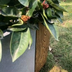 KANTE 31 in. L Rectangular Timber Ridge Concrete/Fiberglass Indoor Outdoor Elegant Long Planter 14 KANTE 31 in. L Rectangular Timber Ridge Concrete/Fiberglass Indoor Outdoor Elegant Long Planter -VIGOR Plants Shop timber ridge kante plant pots osf0219b c80811 66 1000