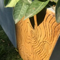 KANTE 31 in. L Rectangular Timber Ridge Concrete/Fiberglass Indoor Outdoor Elegant Long Planter 19 KANTE 31 in. L Rectangular Timber Ridge Concrete/Fiberglass Indoor Outdoor Elegant Long Planter -VIGOR Plants Shop timber ridge kante plant pots osf0219b c80811 fa 1000