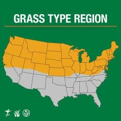 Vigoro 7 lbs. Sun and Shade Grass Seed Mix with Water Saver Seed Coating 20 Vigoro 7 lbs. Sun and Shade Grass Seed Mix with Water Saver Seed Coating -VIGOR Plants Shop vigoro grass seed 25445 66 1000