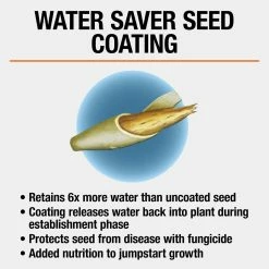 Vigoro 3 lbs. Tall Fescue Grass Seed Blend with Water Saver Seed Coating 19 Vigoro 3 lbs. Tall Fescue Grass Seed Blend with Water Saver Seed Coating -VIGOR Plants Shop vigoro grass seed 25684 1d 1000