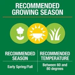 Vigoro 3 lbs. Tall Fescue Grass Seed Blend with Water Saver Seed Coating 24 Vigoro 3 lbs. Tall Fescue Grass Seed Blend with Water Saver Seed Coating -VIGOR Plants Shop vigoro grass seed 25684 1f 1000