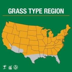 Vigoro 7 lbs. Tall Fescue Grass Seed Blend with Water Saver Seed Coating 16 Vigoro 7 lbs. Tall Fescue Grass Seed Blend with Water Saver Seed Coating -VIGOR Plants Shop vigoro grass seed 25685 e1 1000