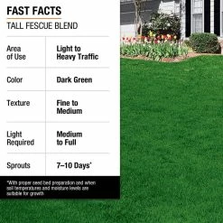 Vigoro 7 lbs. Tall Fescue Grass Seed Blend with Water Saver Seed Coating 26 Vigoro 7 lbs. Tall Fescue Grass Seed Blend with Water Saver Seed Coating -VIGOR Plants Shop vigoro grass seed 25685 fa 1000