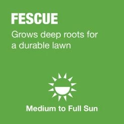 Vigoro 20 lbs. Tall Fescue Grass Seed Blend with Water Saver Seed Coating 18 Vigoro 20 lbs. Tall Fescue Grass Seed Blend with Water Saver Seed Coating -VIGOR Plants Shop vigoro grass seed 25686 a0 1000