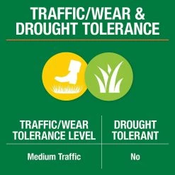 Vigoro 3 lbs. Dense Shade Grass Seed Mix with Water Saver Seed Coating -VIGOR Plants Shop vigoro grass seed 25689 44 1000