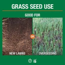 Vigoro 3 lbs. Dense Shade Grass Seed Mix with Water Saver Seed Coating -VIGOR Plants Shop vigoro grass seed 25689 4f 1000