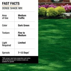 Vigoro 3 lbs. Dense Shade Grass Seed Mix with Water Saver Seed Coating -VIGOR Plants Shop vigoro grass seed 25689 fa 1000
