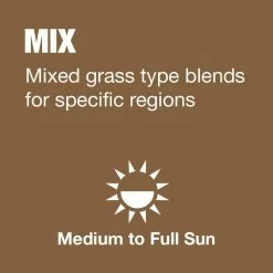 Vigoro 20 lbs. Contractor's Grass Seed Northern Mix with Water Saver Seed Coating -VIGOR Plants Shop vigoro grass seed 25691 a0 1000