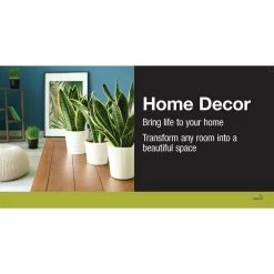 Vigoro 6 in. Dieffenbachia Indoor Plant in Small White Ribbed Plastic Decor Planter (2-Pack) -VIGOR Plants Shop vigoro indoor plants co dief 3 vi wh 40 1000