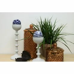 Vigoro 6 in. Grower's Choice Dracaena Indoor Plant in Small White Ribbed Plastic Decor Planter (2-Pack) -VIGOR Plants Shop vigoro indoor plants co jc06 3 vi wh c3 1000