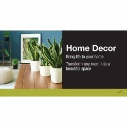 Vigoro 6 in. Neanthebella Palm Indoor Plant in Small White Ribbed Plastic Decor Planter (2-Pack) -VIGOR Plants Shop vigoro indoor plants co np07 3 vi wh 40 1000