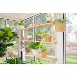 Vigoro 6 in. Golden Pothos Indoor Plant in Small White Ribbed Plastic Decor Planter (2-Pack) -VIGOR Plants Shop vigoro indoor plants co poth 3 vi wh 1f 1000