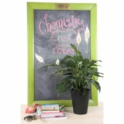 Vigoro 6 in. Peace Lily Indoor Plant in Small White Ribbed Plastic Decor Planter (2-Pack) -VIGOR Plants Shop vigoro indoor plants co sy06 3 vi wh c3 1000