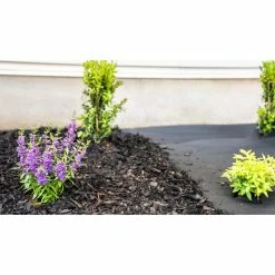 Vigoro 4 ft. x 50 ft. Point Bond Landscape Fabric -VIGOR Plants Shop vigoro landscape fabric nmv04050b 44 1000