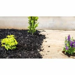 Vigoro 3 ft. x 24 ft. 100% Natural Burlap Landscape Fabric -VIGOR Plants Shop vigoro landscape fabric nmvb0324 44 1000