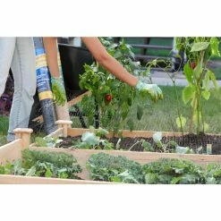 Vigoro 14 ft. x 14 ft. Polypropylene Bird Block Netting and Barrier 23 Vigoro 14 ft. x 14 ft. Polypropylene Bird Block Netting and Barrier -VIGOR Plants Shop vigoro landscape fabric nmvbb1414 44 1000