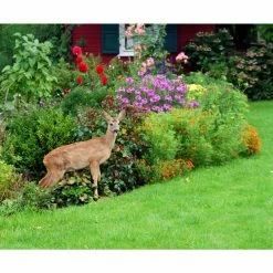 Vigoro 7 ft. x 100 ft. Polypropylene Deer Block Netting Barrier, UV Treated -VIGOR Plants Shop vigoro landscape fabric nmvdb07100h 1d 1000