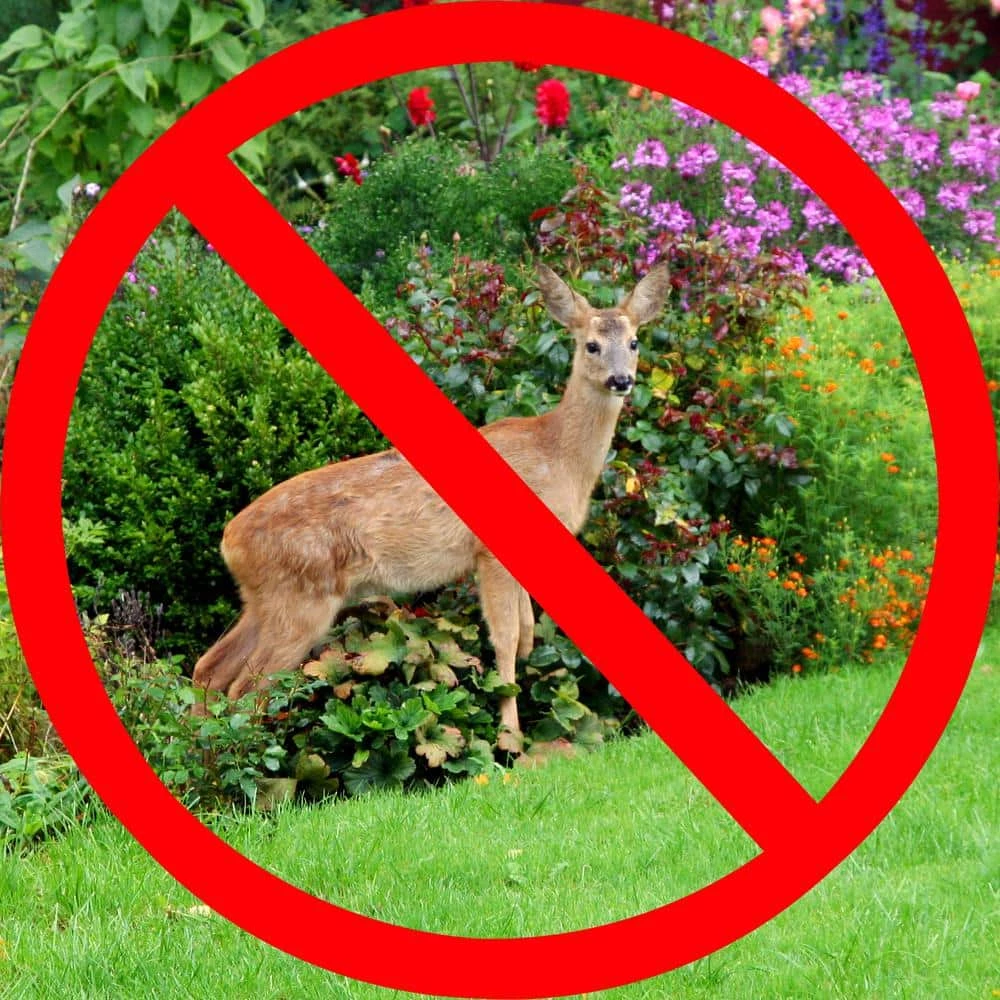 Vigoro 7 ft. x 100 ft. Polypropylene Deer Block Netting Barrier, UV Treated (5-Pack) 6 Vigoro 7 ft. x 100 ft. Polypropylene Deer Block Netting Barrier, UV Treated (5-Pack) - Image 4