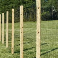 VIGOR Plants Shop 34 VIGOR Plants Shop -VIGOR Plants Shop vigoro landscape fabric nmvdb07100h e1 1000