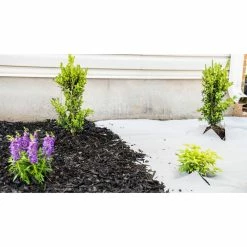 Vigoro 4 ft. x 100 ft. Matrix Grid Landscape Weed Control Fabric -VIGOR Plants Shop vigoro landscape fabric vpnm410085 31 1000