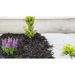 Vigoro 4 ft. x 50 ft. Matrix Grid Landscape Fabric -VIGOR Plants Shop vigoro landscape fabric vpnm45085 31 1000