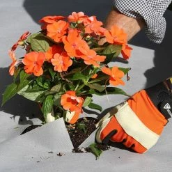 Vigoro 4 ft. x 50 ft. Matrix Grid Heavy-Duty Landscape Fabric (4-Pack) -VIGOR Plants Shop vigoro landscape fabric vpnm45085 4pk 66 1000