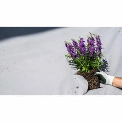 Vigoro 4 ft. x 50 ft. Matrix Grid Landscape Fabric -VIGOR Plants Shop vigoro landscape fabric vpnm45085 fa 1000