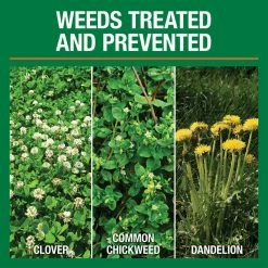 Vigoro 32 lbs. 10,000 sq. ft. Weed and Feed Weed Killer Plus Lawn Fertilizer for Florida Grass Types -VIGOR Plants Shop vigoro lawn fertilizers 22562 1 c3 1000