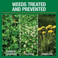 Vigoro 14.6 lbs. 5,000 sq. ft. Weed and Feed Weed Killer Plus Lawn Fertilizer -VIGOR Plants Shop vigoro lawn fertilizers 52210 c3 1000