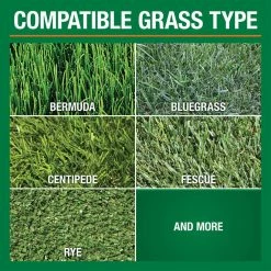 Vigoro 42.18 lbs. 15,000 sq. ft. Crabgrass Preventer and Lawn Fertilizer -VIGOR Plants Shop vigoro lawn fertilizers 52213 1 4f 1000