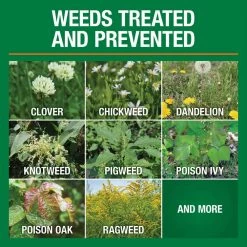 Vigoro 32 oz. 7,500 sq. ft. Spring Ready-to-Spray Concentrate Weed and Feed Lawn Fertilizer 24 Vigoro 32 oz. 7,500 sq. ft. Spring Ready-to-Spray Concentrate Weed and Feed Lawn Fertilizer -VIGOR Plants Shop vigoro lawn fertilizers hg 52511 2 c3 1000