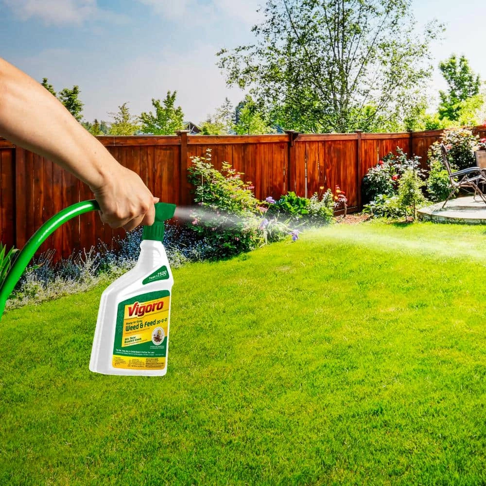 Vigoro 32 oz. 7,500 sq. ft. Spring Ready-to-Spray Concentrate Weed and Feed Lawn Fertilizer 4 Vigoro 32 oz. 7,500 sq. ft. Spring Ready-to-Spray Concentrate Weed and Feed Lawn Fertilizer - Image 2