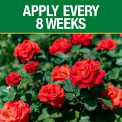 Vigoro 3.5 lb. All Season Rose Plant Food (12-6-10) -VIGOR Plants Shop vigoro plant food fertilizer 124250 1f 1000