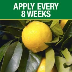 Vigoro 20 lbs. All Season Citrus and Avocado Plant Food Dry Fertilizer (6-4-6) -VIGOR Plants Shop vigoro plant food fertilizer 160327 1f 1000