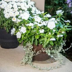 Vigoro 12 in. Plastic Deep Planter Liner -VIGOR Plants Shop vigoro plant liners dl12vg 4f 1000