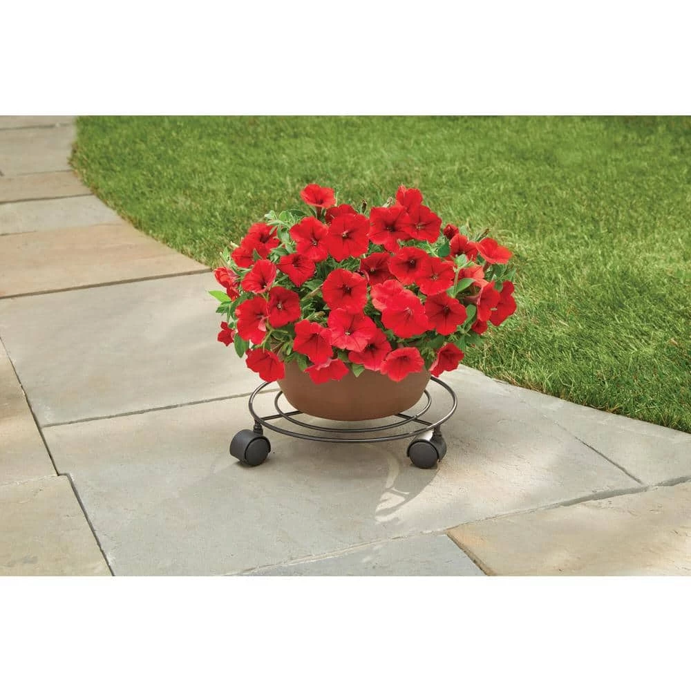 Vigoro 10 in. OPP Metal Wire Plant Caddy 3 Vigoro 10 in. OPP Metal Wire Plant Caddy