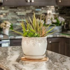 Vigoro 10 in. Bamboo Plant Saucer -VIGOR Plants Shop vigoro planter saucers bbs10vg 1f 1000