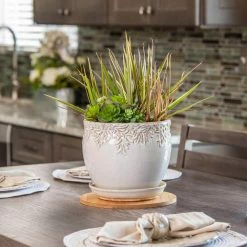 Vigoro 10 in. Bamboo Plant Saucer -VIGOR Plants Shop vigoro planter saucers bbs10vg 44 1000