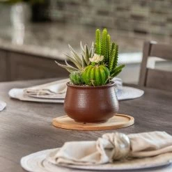 Vigoro 8 in. Bamboo Plant Saucer 12 Vigoro 8 in. Bamboo Plant Saucer -VIGOR Plants Shop vigoro planter saucers bbs8vg 1f 1000