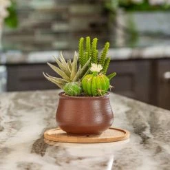 Vigoro 8 in. Bamboo Plant Saucer 14 Vigoro 8 in. Bamboo Plant Saucer -VIGOR Plants Shop vigoro planter saucers bbs8vg fa 1000