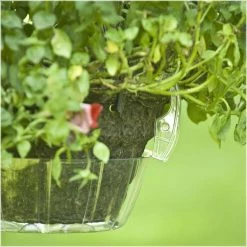 Vigoro Drip Catcher Hanging Saucer 9 Vigoro Drip Catcher Hanging Saucer -VIGOR Plants Shop vigoro planter saucers hb10hbdi 31 1000