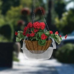 Vigoro Drip Catcher Hanging Saucer 8 Vigoro Drip Catcher Hanging Saucer -VIGOR Plants Shop vigoro planter saucers hb10hbdi 4f 1000