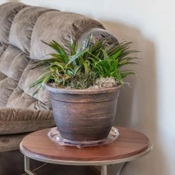 Vigoro 14 in. Heavy Duty Plant Saucer -VIGOR Plants Shop vigoro planter saucers sp14vg 44 1000