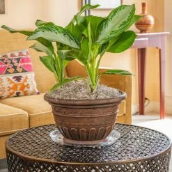 Vigoro 14 in. Heavy Duty Plant Saucer -VIGOR Plants Shop vigoro planter saucers sp14vg 4f 1000