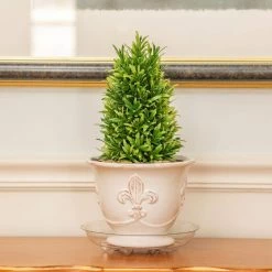 Vigoro 8 in. Heavy Duty Plant Saucer -VIGOR Plants Shop vigoro planter saucers sp8vg 1f 1000