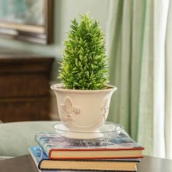 Vigoro 8 in. Heavy Duty Plant Saucer -VIGOR Plants Shop vigoro planter saucers sp8vg fa 1000