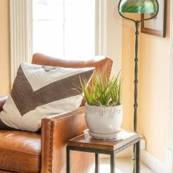 Vigoro 10 in. Plastic Plant Saucer 11 Vigoro 10 in. Plastic Plant Saucer -VIGOR Plants Shop vigoro planter saucers vs10vg 1f 1000