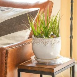 Vigoro 10 in. Plastic Plant Saucer 12 Vigoro 10 in. Plastic Plant Saucer -VIGOR Plants Shop vigoro planter saucers vs10vg 44 1000